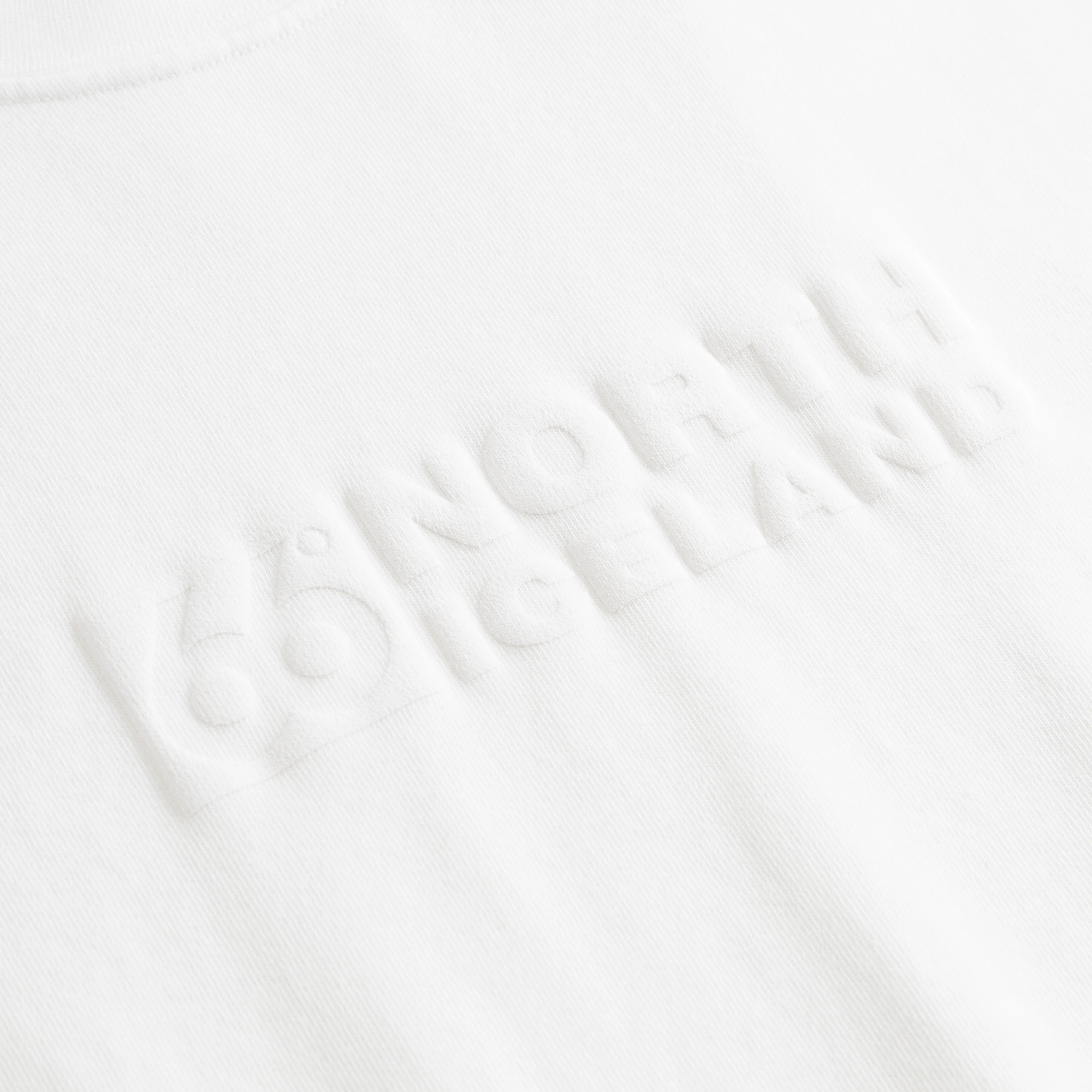 Borgir Longsleeve - Image 4